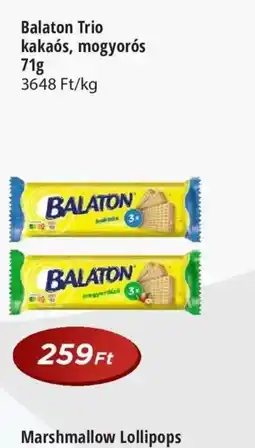 Real Balaton Trio ajánlat
