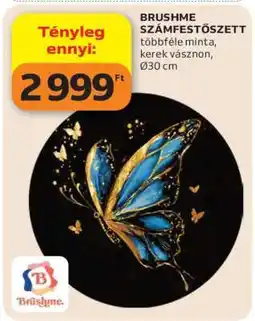 Auchan BRUSHME SZÁMFESTŐSZETT ajánlat