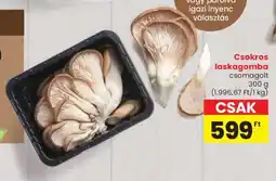 Spar Csokros laskagomba ajánlat