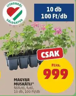 PENNY Magyar muskátli ajánlat