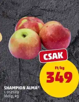 PENNY SHAMPION ALMA ajánlat