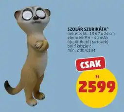 PENNY Szolár szurikáta ajánlat