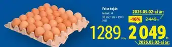 Friss tojás