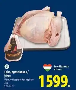 Lidl Friss, egész kakas / jérce ajánlat