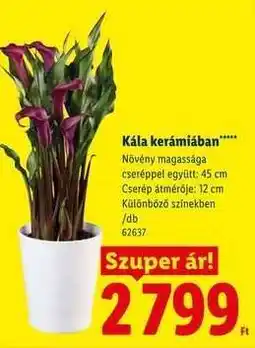 Lidl Kála kerámiában ajánlat