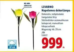 Lidl LIVARNO Napelemes dekorlámpa ajánlat