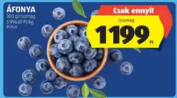 ALDI Áfonya ajánlat