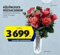 ALDI Különleges Rózsacsokor ajánlat