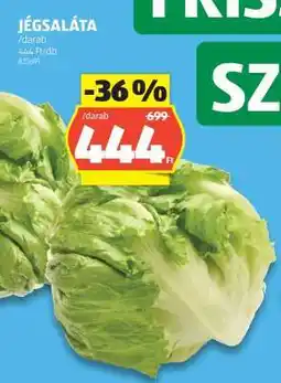 ALDI Jégsaláta ajánlat