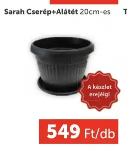 PRIVÁT Sarah Cserép+Alátét 20cm-es ajánlat