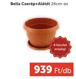PRIVÁT Bella Cserép+Alátét 24cm-es ajánlat
