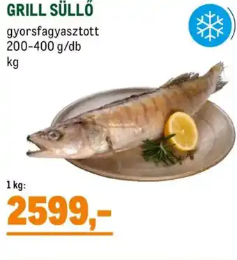 GRILL SÜLLŐ