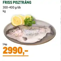 Metro Friss pisztráng ajánlat