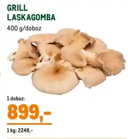 Metro GRILL LASKAGOMBA ajánlat