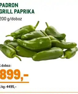 Metro PADRON GRILL PAPRIKA ajánlat