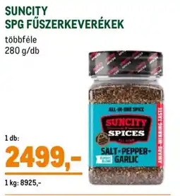 Metro Suncity spg Fűszerkeverékek ajánlat