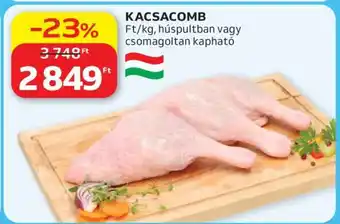 KACSACOMB