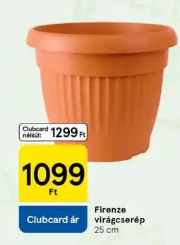 Tesco Firenze virágcserép ajánlat