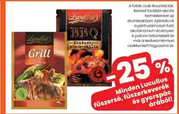 Spar Lucullus fűszerkeverék és gyorspác ajánlat
