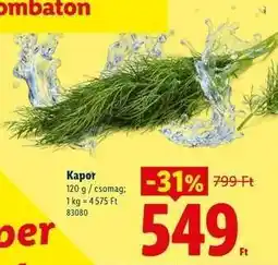 Lidl Kapor ajánlat
