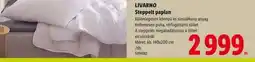Lidl Livarno Steppelt paplan ajánlat