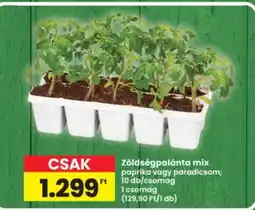 Interspar Zöldségpalánta mix ajánlat