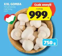 ALDI XXL Gomba ajánlat