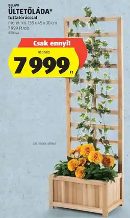 ALDI Belavi ültetőláda ajánlat
