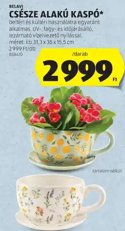 ALDI Csésze alakú kaspó ajánlat