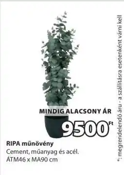 JYSK RIPA műnövény ajánlat