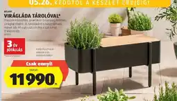 ALDI BELAVI VIRÁGLÁDA TÁROLÓVAL ajánlat