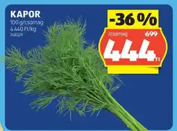 ALDI Kapor ajánlat