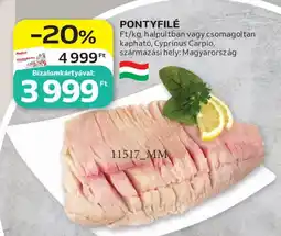 Auchan Pontyfilé ajánlat
