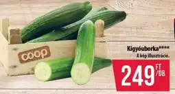 Coop Kígyóuborka ajánlat