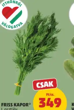 PENNY Friss kapor ajánlat