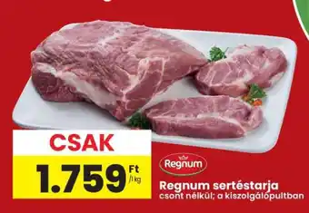 Regnum sertéstarja