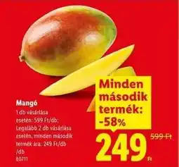 Lidl Mangó ajánlat