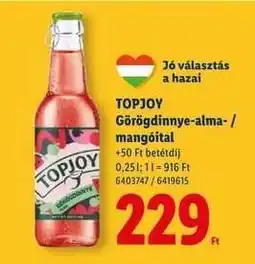 Lidl Topjoy ajánlat