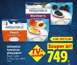 Lidl ERIDANOUS Gyümölcsös görög joghurt ajánlat