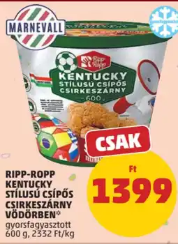 PENNY Ripp-Ropp Kentucky stílusú csípős csirkeszárny vödörben ajánlat
