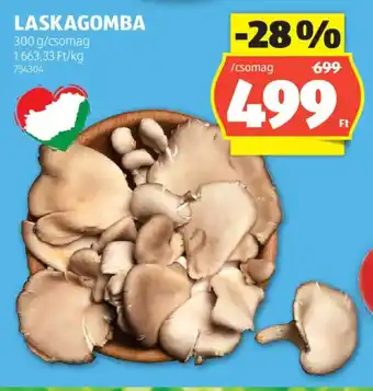 ALDI Laskagomba ajánlat