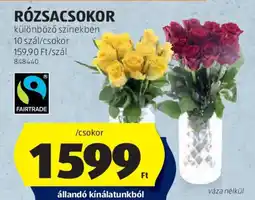 ALDI Rózsacsomor ajánlat