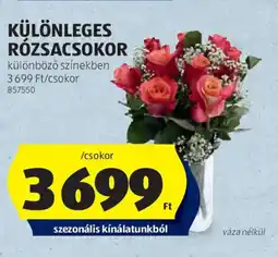 ALDI Különleges rózsacsomor ajánlat
