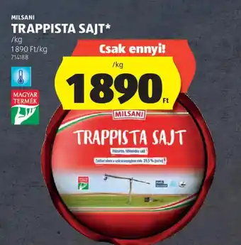 ALDI Milsani trappista sajt ajánlat