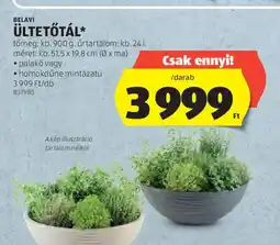 ALDI Belavi ültetőtál ajánlat