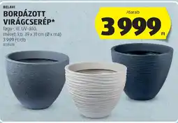 ALDI Belavi bordázott virágcserép ajánlat