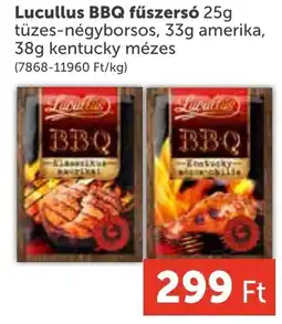 PRIVÁT Lucullus bbq fűszersó ajánlat