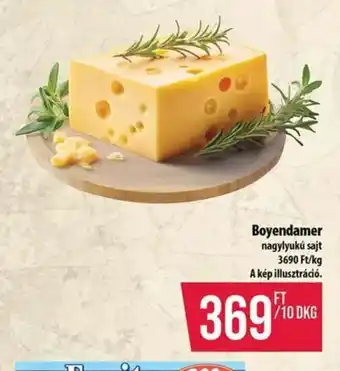 Boyendamer nagylyukú sajt