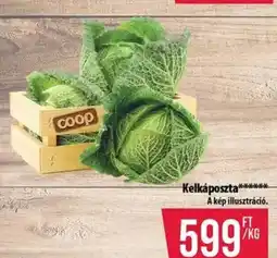 Coop Coop Kelkáposzta ajánlat