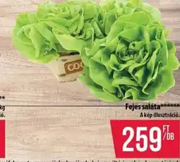 Coop Coop Fejes saláta ajánlat